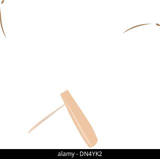 Zwei schöne Maracas auf weißem Hintergrund Stock Vektor