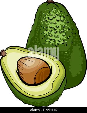 Avocado-Frucht Cartoon illustration Stock Vektor