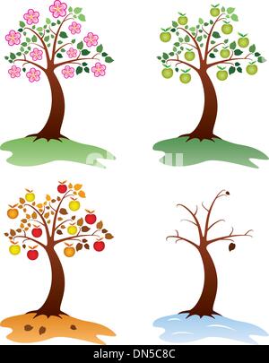 Vektor-Apfelbäume Stock Vektor