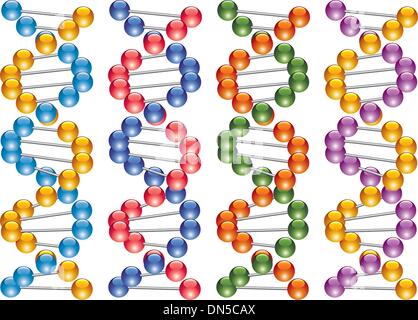 Reihe von bunten DNA-Stränge Stock Vektor