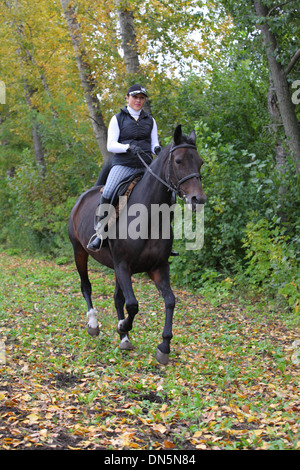 Pferdesport: eine weibliche kaukasischer Reiter Reiten ihr schönes schwarzes Pferd Stockfoto