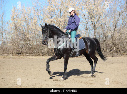 Schöne junge blonde Frau Training schwarze Dressurpferd Stockfoto