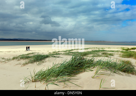 Paare, die Budle Bay Northumberland Herbst Stockfoto