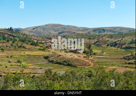 Dorf des Merina-Volkes mit terrassierten Reisfelder, in der Nähe von Antananarivo, Madagaskar Stockfoto