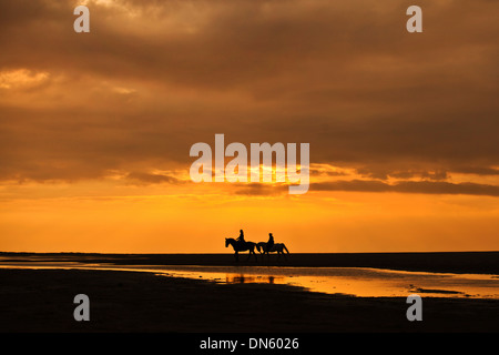 Reiter bei Sonnenuntergang am Strand von Borkum, Niedersachsen, Deutschland Stockfoto