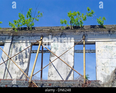 Verfallenes Haus in der Altstadt Casco Viejo, auch Casco Antiguo oder San Felipe, Panama City, Panama Stockfoto