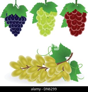 Traube Stock Vektor