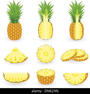Ananas Stock Vektor