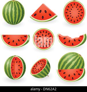 Wassermelone Stock Vektor