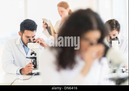 Wissenschaftler arbeiten im Labor Stockfoto