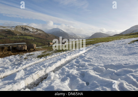 Spuren im Schnee in einem Feld oberhalb Loweswater, Lake District, England Grassmoor und andere Hochmoore sind im Hintergrund zu sehen. Stockfoto