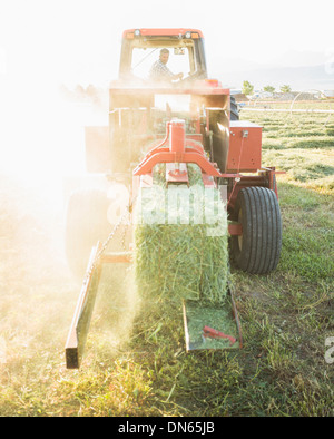 Kaukasische Landwirt treibende Traktor Stockfoto