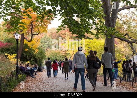 Menschen genießen die Herbstfarben beim Walking im Central Park, NYC Stockfoto