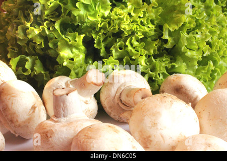 schöne Agaric und bereit für das Kochen der Kopfsalat Stockfoto