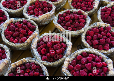 Frische Himbeeren auf Jean Talon Market. Montreal, Quebec, Kanada. Stockfoto