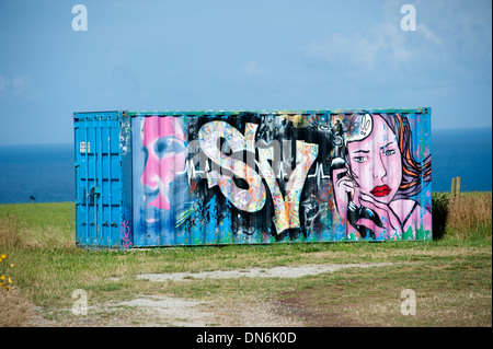 Bunt bemalten shipping Container-graffiti Stockfoto