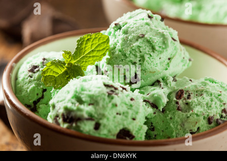 Bio Green Mint Chocolate Chip Eis mit einem Löffel Stockfoto