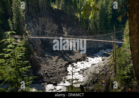 WASHINGTON - Wanderer auf dem Wonderland Trail in Mount Rainier Nationalpark Tahoma Creek die Hängebrücke überqueren. Stockfoto