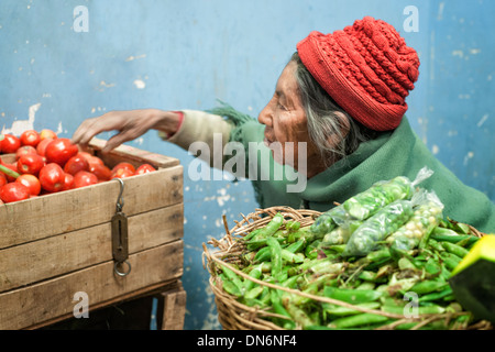 Ältere Frau Kommissionierung Tomaten zu kaufen in einem lokalen Markt, Uyuni, Bolivien, Südamerika Stockfoto