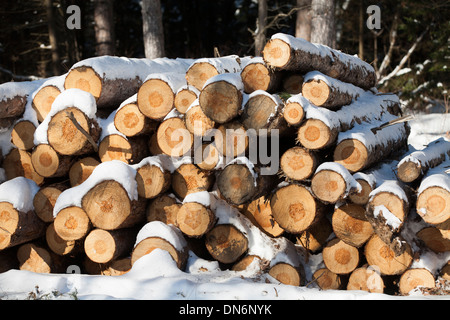 Ein Haufen von Protokollen sitzen unter dem Schnee. Stockfoto