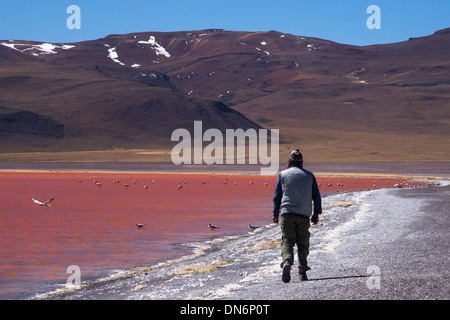 Mann in Winterkleidung Besuch Laguna Colorada (rote Lagune) verkrustet mit Borax Ablagerungen Stockfoto