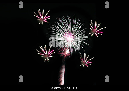 Vielzahl von Farben Feuerwerk oder Feuerwerkskörper in der Dunkelheit. Stockfoto