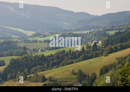 Elk213-2933 Frankreich, Elsass, Route des Kretas, Landschaft in der Nähe von Col de Bonhomme Stockfoto