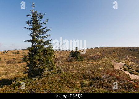 Elk213-2944 Frankreich, Elsass, Route des Kretas, Gazon de Faing Landschaft Stockfoto