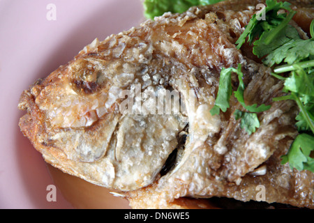 Das thailändische Essen gebratenen Fisch und Koriander in der Schale. Stockfoto