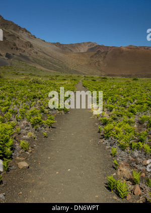 Ein Blick auf die Sliding Sands Trail von innerhalb der Haleakala Krater Führungsposten in der Ferne an den Kraterrand. Stockfoto