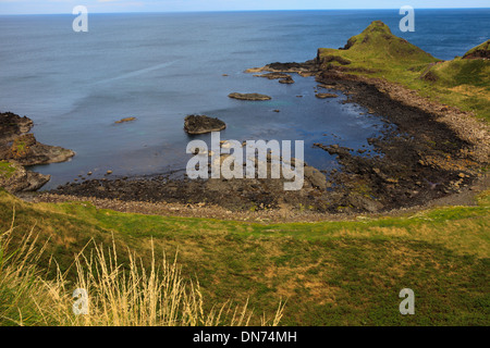 Der Giant's Causeway-Küste an der Nordküste von County Antrim, Nordirland, Vereinigtes Königreich Stockfoto