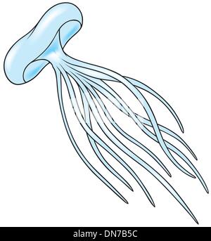 Qualle Stock Vektor