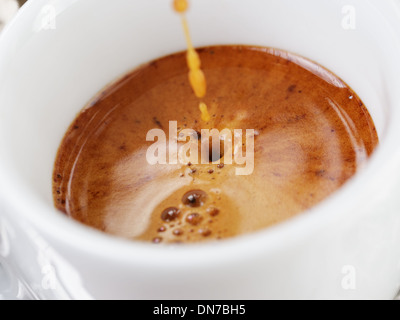 Gewinnung von Espresso mit reichhaltigen Crema in der Tasse, Nahaufnahme Foto Stockfoto
