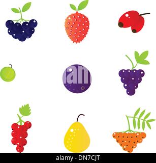 Frischen Sommerbeeren und exotischen Fruchtansatz isoliert auf weiss Stock Vektor