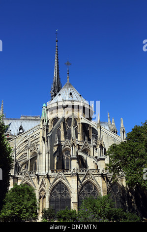 Kathedrale Notre Dame de Paris, Blick vom Garten Stockfoto