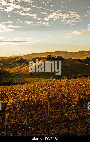 Europa Italien Piemont Europa Italien Piemont Langhe Castiglione Falletto und Weinberge Stockfoto