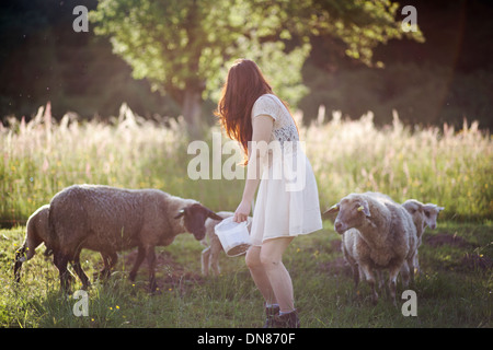 Junge Frau mit Schafe auf einer Wiese Stockfoto