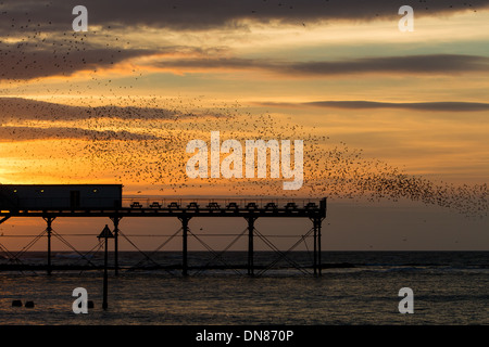 Ein Murmuration der Stare über Pier in Aberystwyth Stockfoto