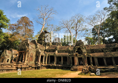 Gänge von Ta Prohm Stockfoto