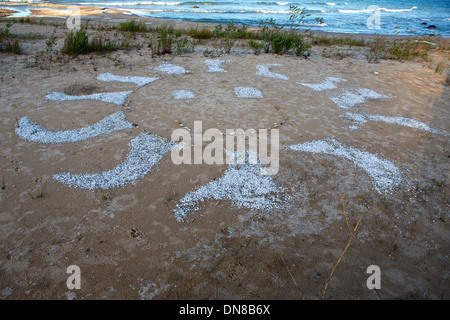 Sonne aus Zebra Muschelschalen am Strand in Michigan Lake Huron hergestellt Stockfoto