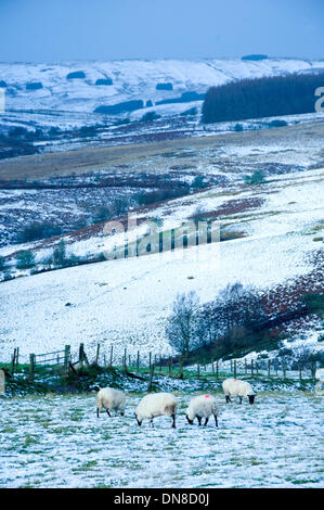 Epynt Range, Cambrian Mountains, Wales, UK. 20. Dezember 2013. Nach der gestrigen Schneefall am hohen Land und einer eiskalten Nacht steigen die Temperaturen wieder mit Regen, den Schnee zu schmelzen beginnt. Bildnachweis: Graham M. Lawrence/Alamy Live-Nachrichten. Stockfoto