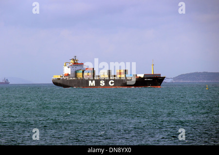 MSC-Container-Schiff beladen mit Containern im Hafen angekommen Stockfoto