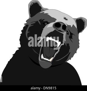 Angry bear Stock Vektor