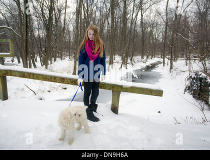 Teenager-Mädchen Spaziergang mit ihrem Hund an einem Wintertag Stockfoto