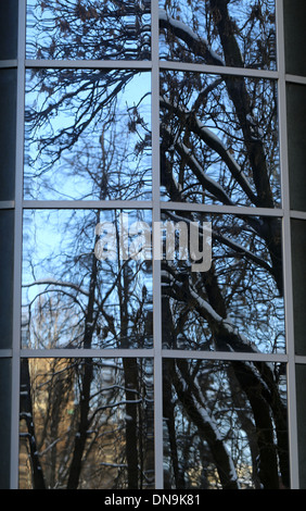 Spiegelbild im Fenster Stockfoto