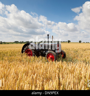 Ein 1937 Fall C Oldtimer-Traktor steht in einem Feld von Weizen Stockfoto