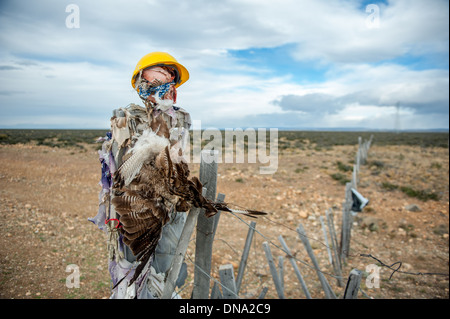 Toter Vogel und Warnung Bildnis auf Gravieren auf Route 40 in Argentinien Stockfoto