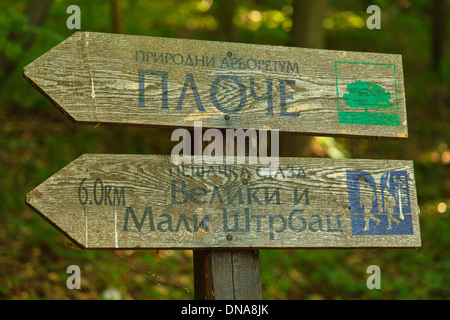 Singen Sie im Nationalpark Djerdap, Deutschland, Europa Stockfoto