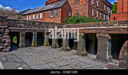 Die römischen Gärten Chester UK Stockfoto