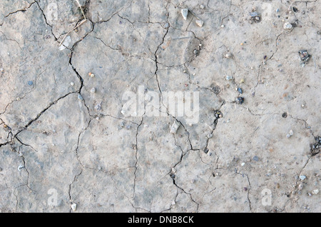 Trockenes Land hautnah. Rissigen Boden Hintergrund. Stockfoto